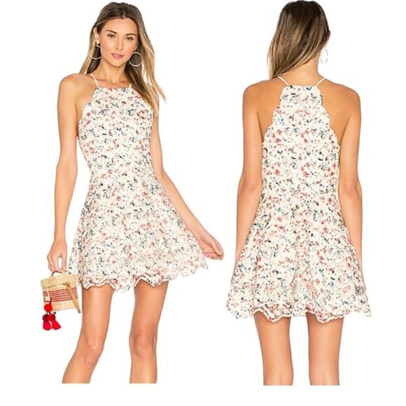 Tularosa Cyrus Lace Mini Dress Fit & Flare Halter Neck Scalloped Hem Size XS - Picture 1 of 8